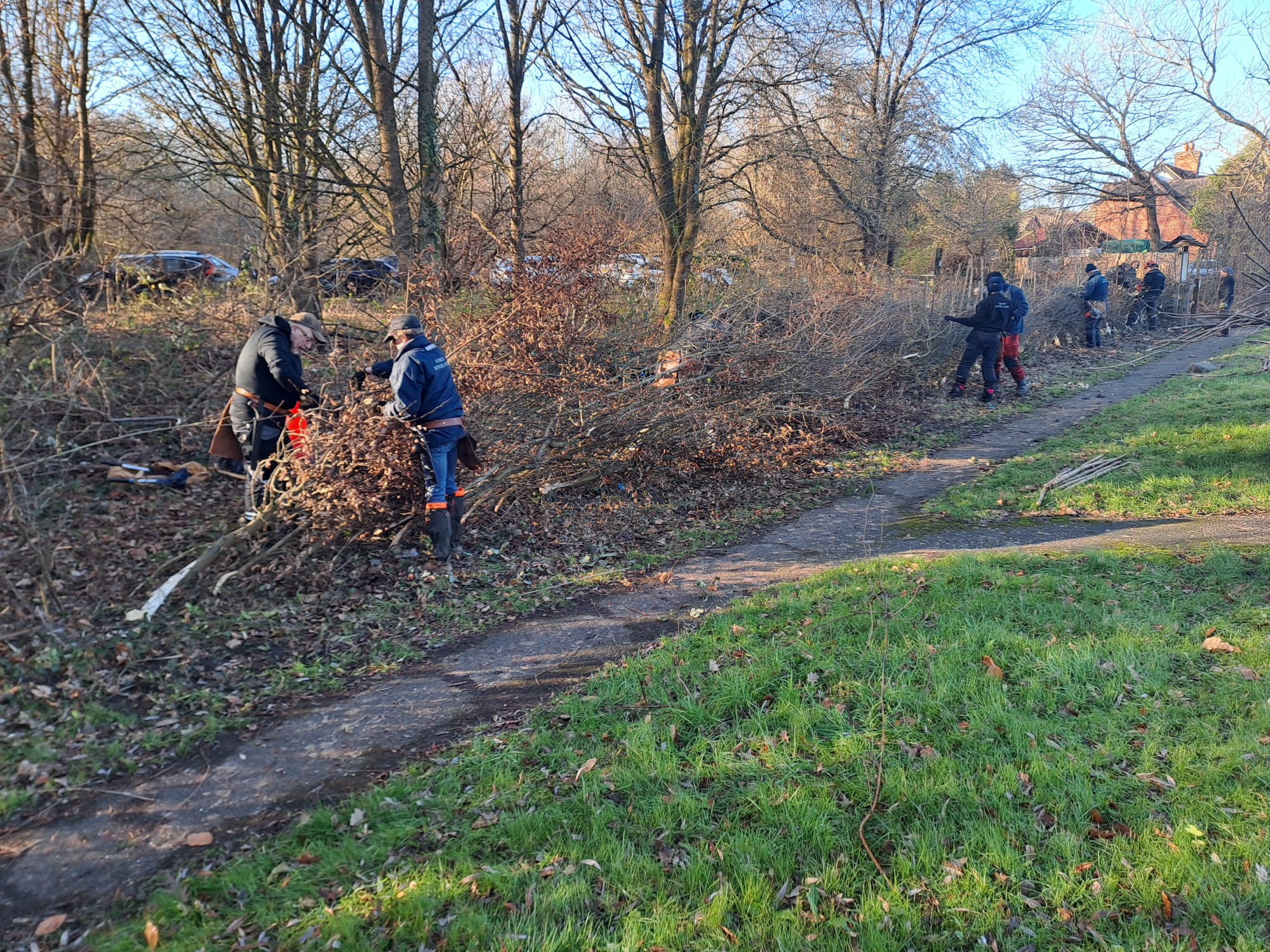 Surrey Hedge Layers in Progress